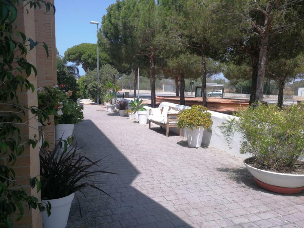 Hotel Marisma Sancti Petri Chiclana de la Frontera Exterior foto